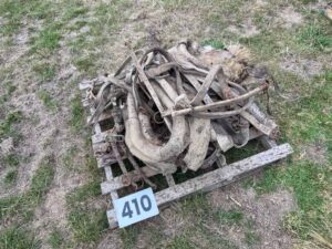 Horse harness & Collars