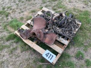 Horse harness & saddle ( good order )