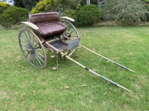 Horse jinker 2 wheel