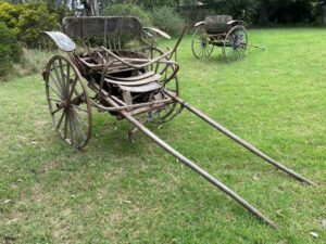 Horse jinker 2 wheel